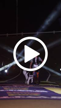 BIB:  <button type="button" onclick="openModal(27083682)" class="btn btn-primary btn-sm float-right" data-toggle="modal" data-target=".modal-high-quality">
                <i class="fa fa-download"></i> Download
                </button>